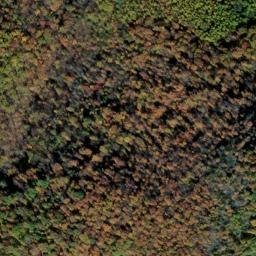 Satellite imagery of Tree Wall, US