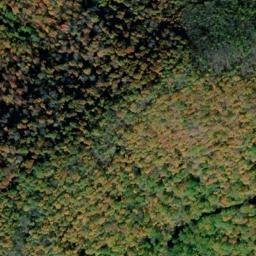 Satellite imagery of Tree Wall, US