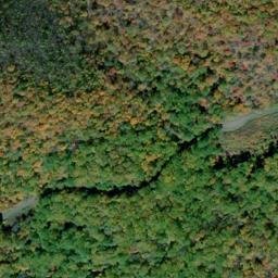 Satellite imagery of Tree Wall, US