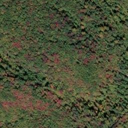 Satellite imagery of Beartown Ridge, US