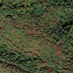 Satellite imagery of Beartown Ridge, US