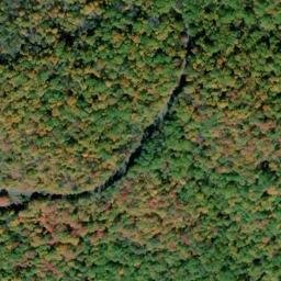 Satellite imagery of Tree Wall, US