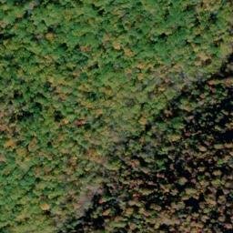Satellite imagery of Tree Wall, US