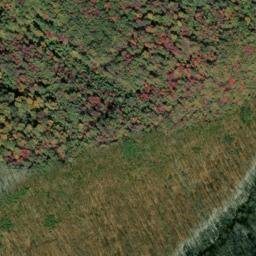 Satellite imagery of Beartown Ridge, US