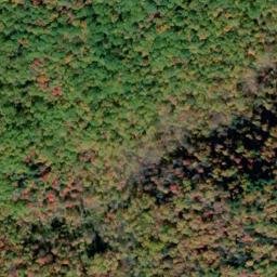 Satellite imagery of Tree Wall, US