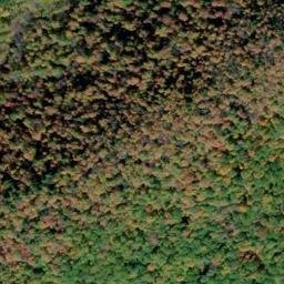 Satellite imagery of Tree Wall, US