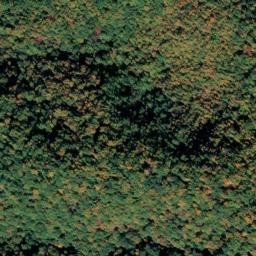 Satellite imagery of McFalls View Overlook, US