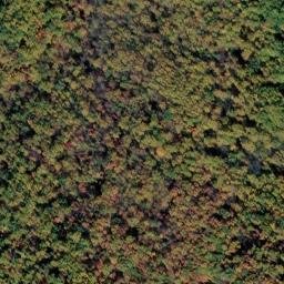 Satellite imagery of McFalls View Overlook, US