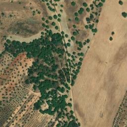 Satellite imagery of survey_point, PT