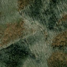 Satellite imagery of Fork Ridge, US