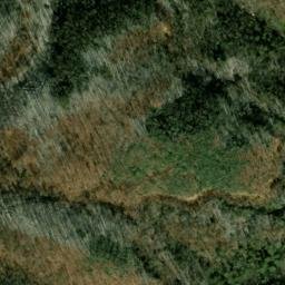 Satellite imagery of Fork Ridge, US