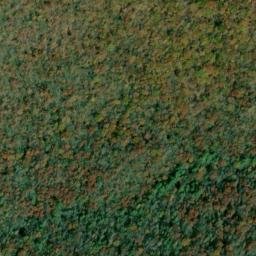 Satellite imagery of Huckleberry Ridge, US