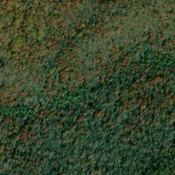 Satellite imagery of Huckleberry Ridge, US