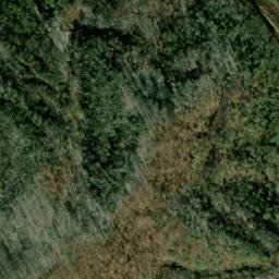 Satellite imagery of Fork Ridge, US