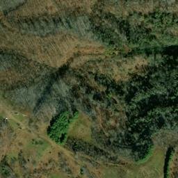 Satellite imagery of Fork Ridge, US