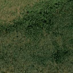 Satellite imagery of Pine Swamp Ridge, US