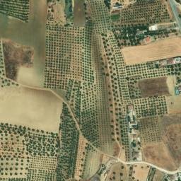 Satellite imagery of survey_point, PT