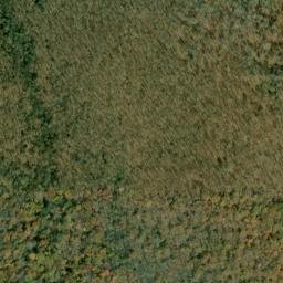 Satellite imagery of Pine Swamp Ridge, US