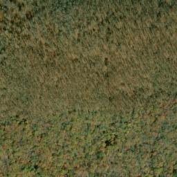 Satellite imagery of Pine Swamp Ridge, US