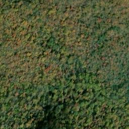 Satellite imagery of Pine Swamp Ridge, US