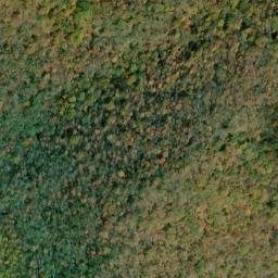 Satellite imagery of Pine Swamp Ridge, US