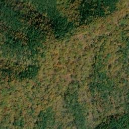 Satellite imagery of Piney Ridge, US