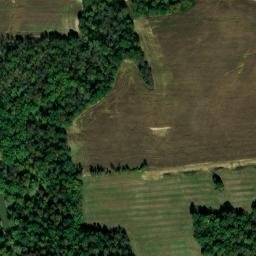 Satellite imagery of Brantley Bluff, US