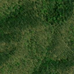 Satellite imagery of Bee Ridge, US