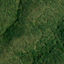 Satellite imagery of Bee Ridge, US