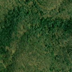 Satellite imagery of Bee Ridge, US