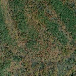 Satellite imagery of Piney Ridge, US