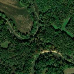 Satellite imagery of Brantley Bluff, US