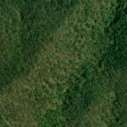 Satellite imagery of Sourwood Ridge, US