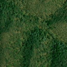 Satellite imagery of Sourwood Ridge, US