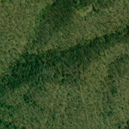 Satellite imagery of Bee Ridge, US