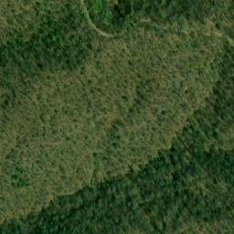 Satellite imagery of Bee Ridge, US