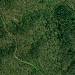 Satellite imagery of Bee Ridge, US