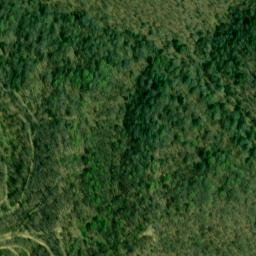 Satellite imagery of Bee Ridge, US