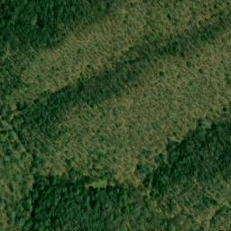 Satellite imagery of Bee Ridge, US