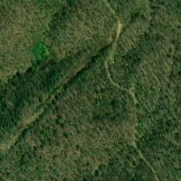 Satellite imagery of Bee Ridge, US