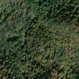 Satellite imagery of Fork Ridge, US
