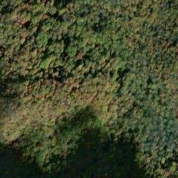 Satellite imagery of Fork Ridge, US
