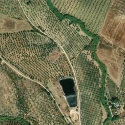 Satellite imagery of survey_point, PT