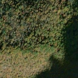 Satellite imagery of Fork Ridge, US
