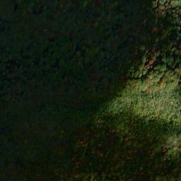 Satellite imagery of Fork Ridge, US
