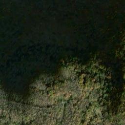 Satellite imagery of Fork Ridge, US