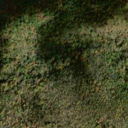 Satellite imagery of Fork Ridge, US