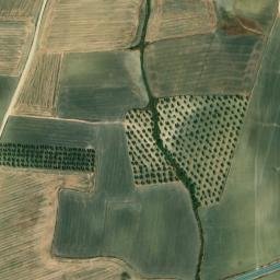 Satellite imagery of survey_point, PT