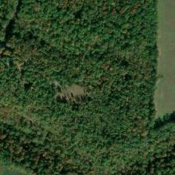 Satellite imagery of Bark Ridge, US