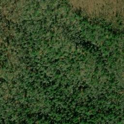 Satellite imagery of Big Mountain, US